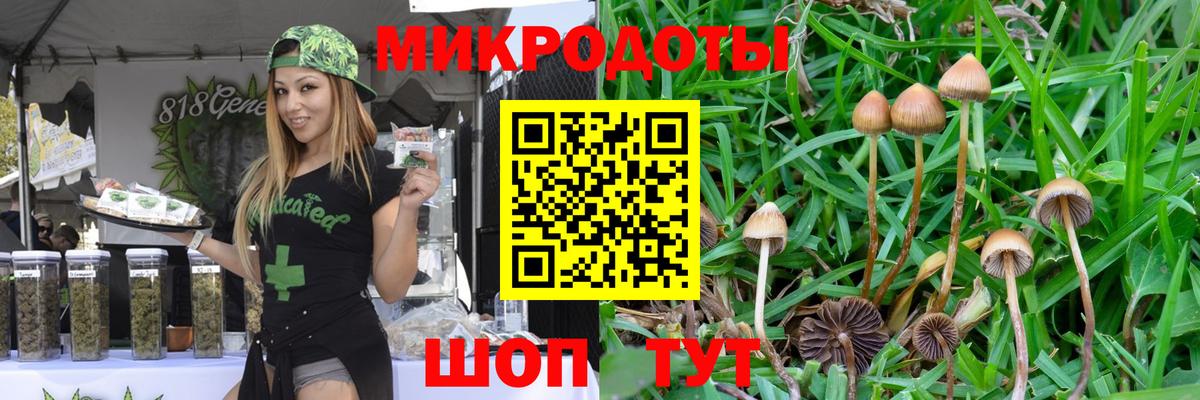 Псилоцибиновые грибы мухоморы  Вход с VPN  Галлюциногенные грибы мицелий  Йошкар-Ола 